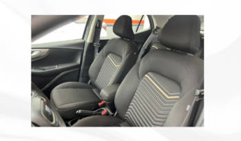 Fiat Pulse completo